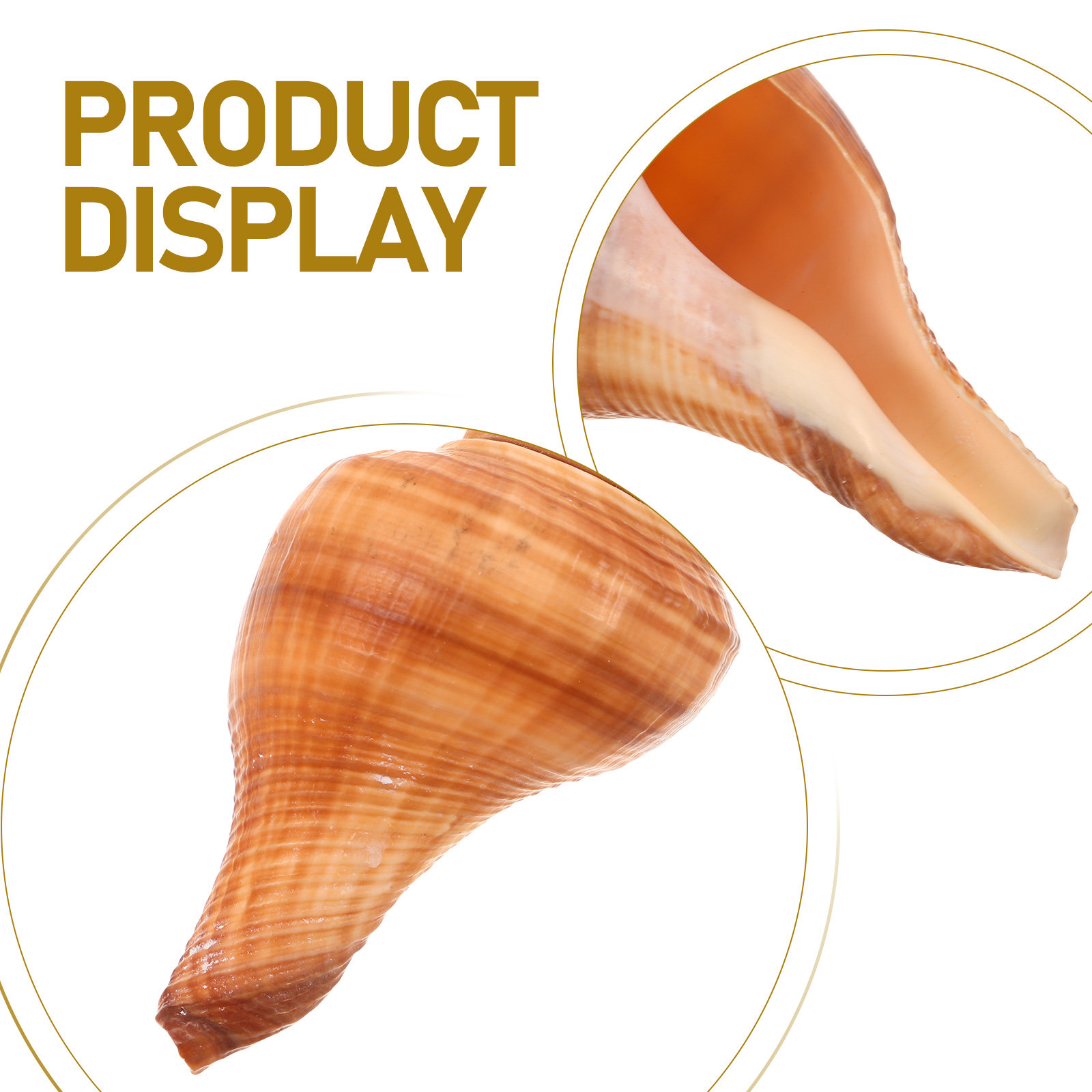 5Pcs Natural Conch Shell Whist - Emergency Whistle Loud recensione e prezzo