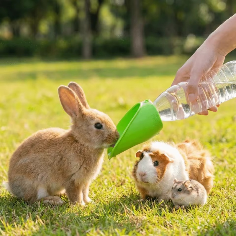 Dog cat Travel Water Bottle  P - Water Bag Collapsible recensione e prezzo